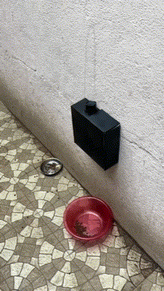 Animal Feeder Project