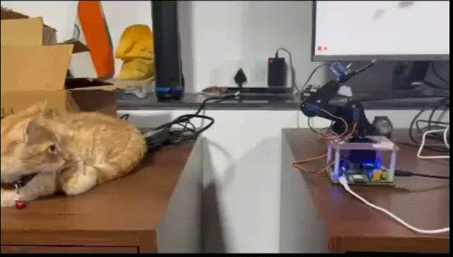 MARIO Robot